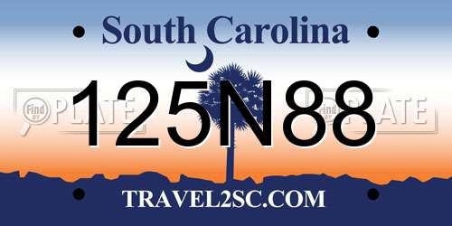 125N88 South Carolina License Plate