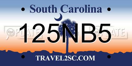 125NB5 South Carolina License Plate