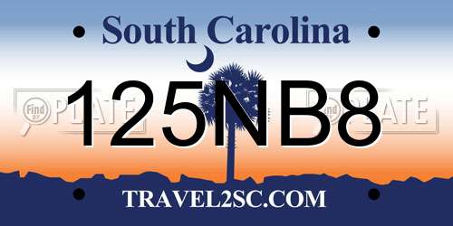 125NB8 South Carolina License Plate
