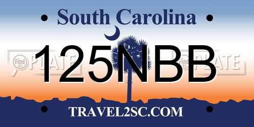 125NBB South Carolina License Plate
