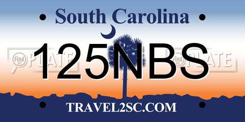 125NBS South Carolina License Plate