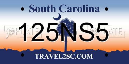 125NS5 South Carolina License Plate