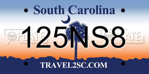 125NS8 South Carolina License Plate