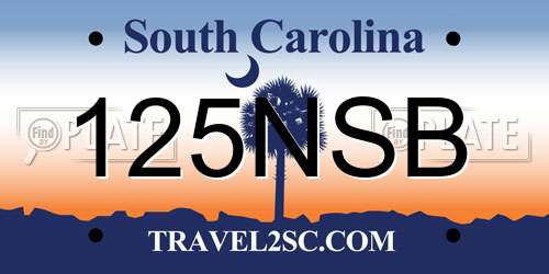 125NSB South Carolina License Plate