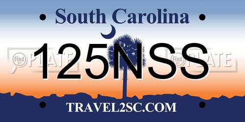 125NSS South Carolina License Plate