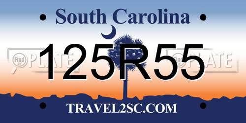 125R55 South Carolina License Plate