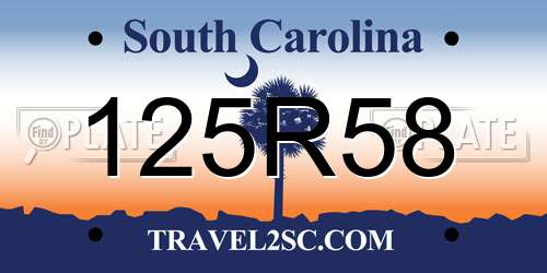 125R58 South Carolina License Plate