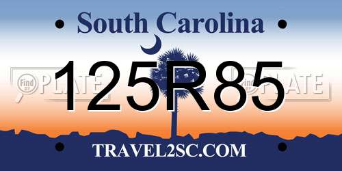 125R85 South Carolina License Plate