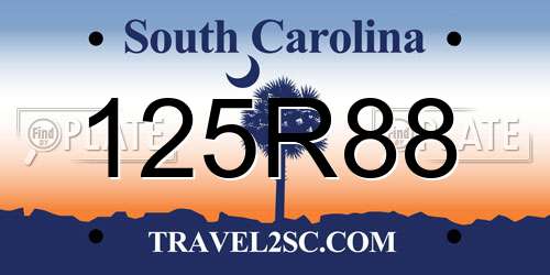 125R88 South Carolina License Plate