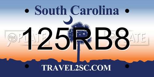 125RB8 South Carolina License Plate