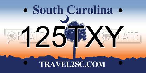 125TXY South Carolina License Plate