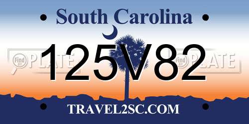 125V82 South Carolina License Plate