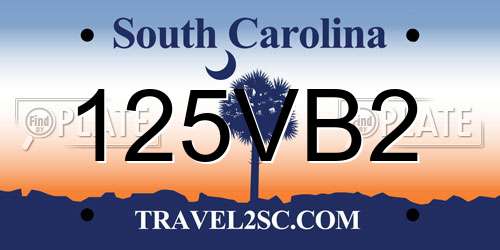 125VB2 South Carolina License Plate