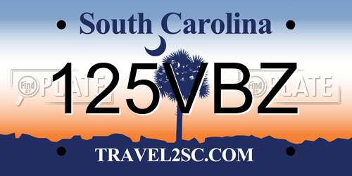 125VBZ South Carolina License Plate