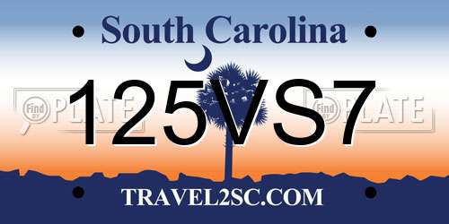 125VS7 South Carolina License Plate