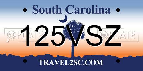 125VSZ South Carolina License Plate