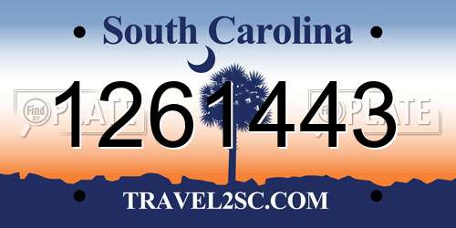 1261443 South Carolina License Plate
