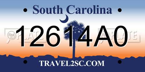 12614A0 South Carolina License Plate