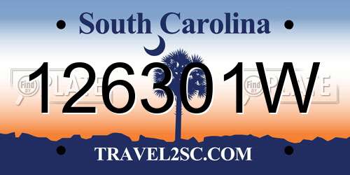 126301W South Carolina License Plate