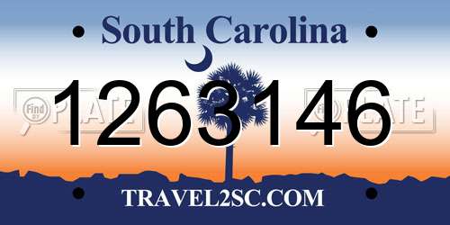 1263146 South Carolina License Plate