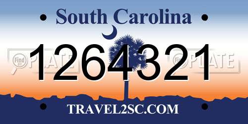 1264321 South Carolina License Plate