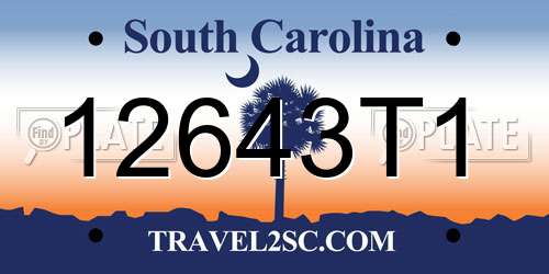 12643T1 South Carolina License Plate