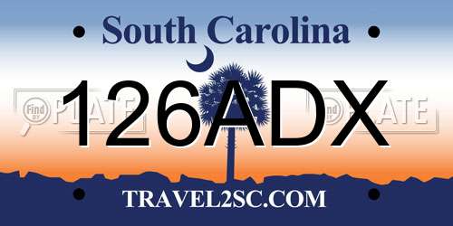126ADX South Carolina License Plate