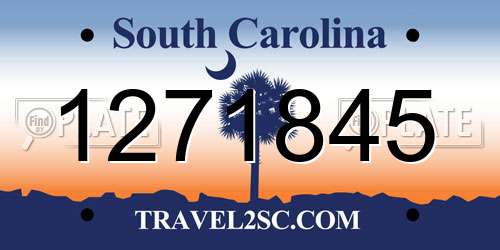 1271845 South Carolina License Plate