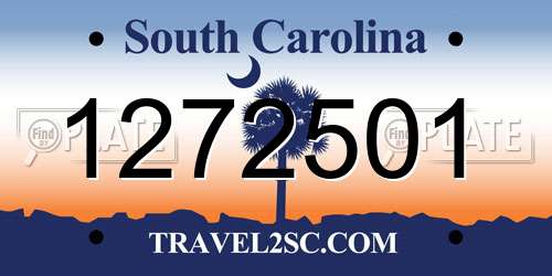 1272501 South Carolina License Plate