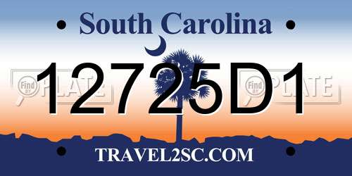 12725D1 South Carolina License Plate
