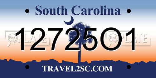12725O1 South Carolina License Plate