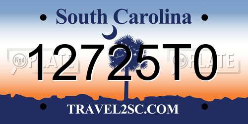 12725T0 South Carolina License Plate
