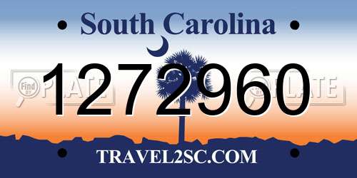 1272960 South Carolina License Plate