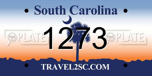 1273 South Carolina License Plate