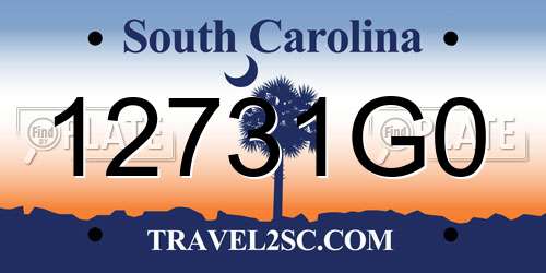 12731G0 South Carolina License Plate