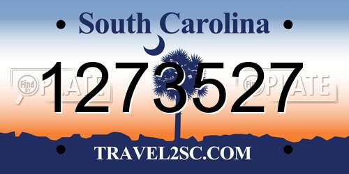 1273527 South Carolina License Plate
