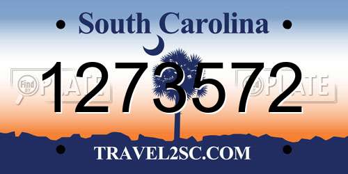 1273572 South Carolina License Plate