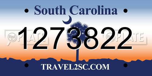 1273822 South Carolina License Plate