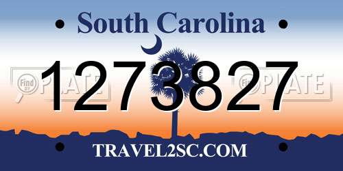 1273827 South Carolina License Plate