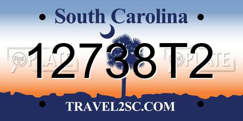 12738T2 South Carolina License Plate
