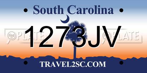 1273JV South Carolina License Plate