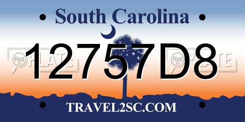 12757D8 South Carolina License Plate