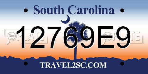 12769E9 South Carolina License Plate
