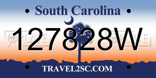 127828W South Carolina License Plate
