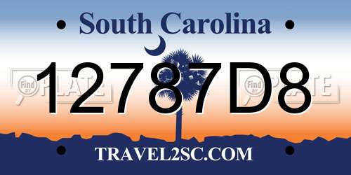 12787D8 South Carolina License Plate