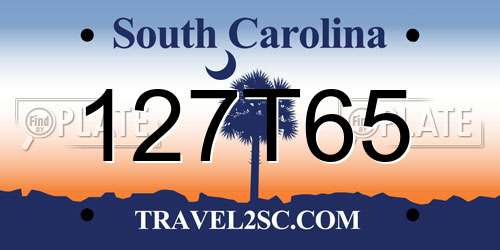 127T65 South Carolina License Plate