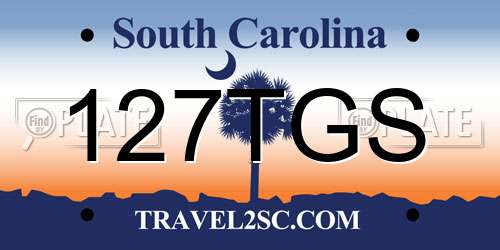 127TGS South Carolina License Plate