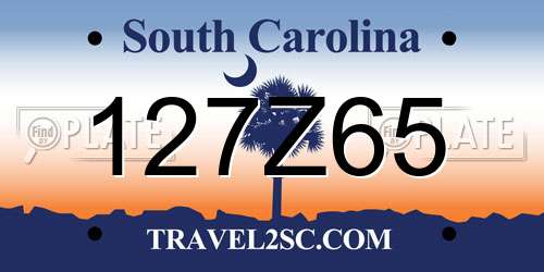127Z65 South Carolina License Plate