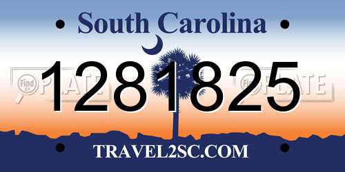 1281825 South Carolina License Plate
