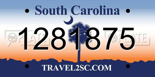 1281875 South Carolina License Plate